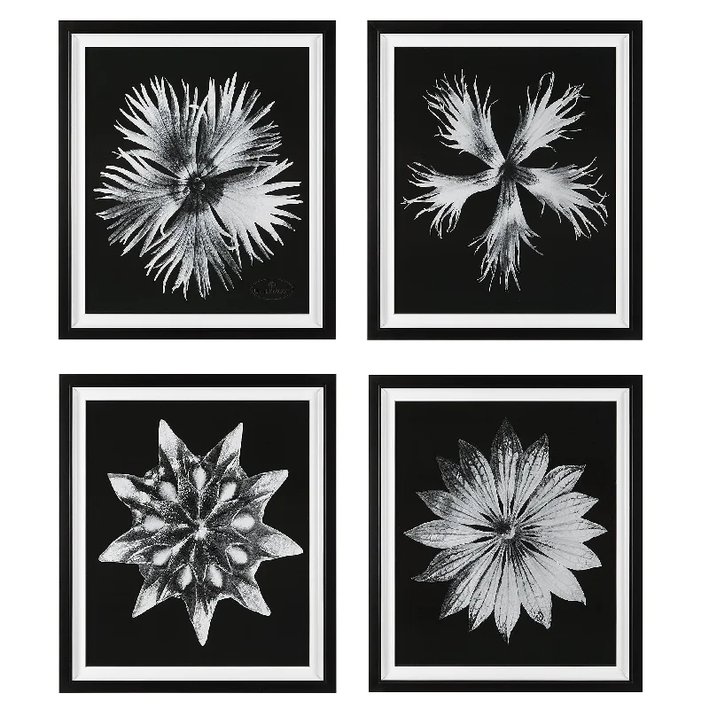 Uttermost 41427 Contemporary Floret Framed Prints, Set of 4