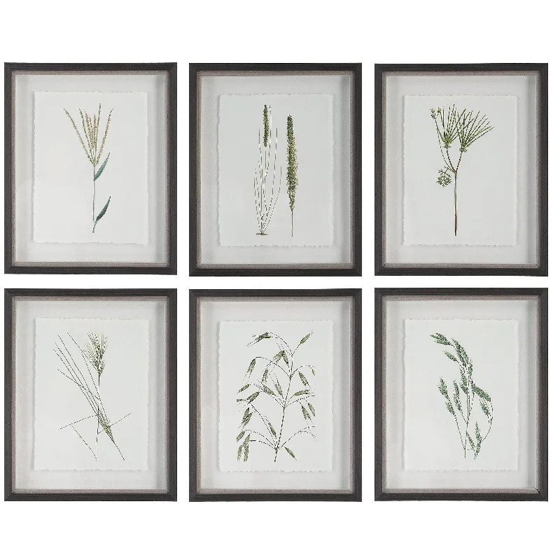 Uttermost 41459 Forest Finds Framed Prints, Set of 6