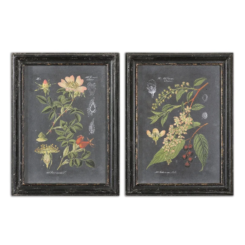 Uttermost 56053 Midnight Botanicals Wall Art S/2